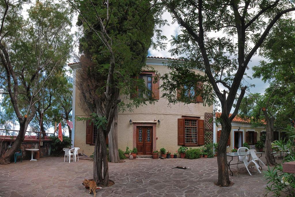 Lela Kaptani Eftalou Olive Grove Митимна Экстерьер фото